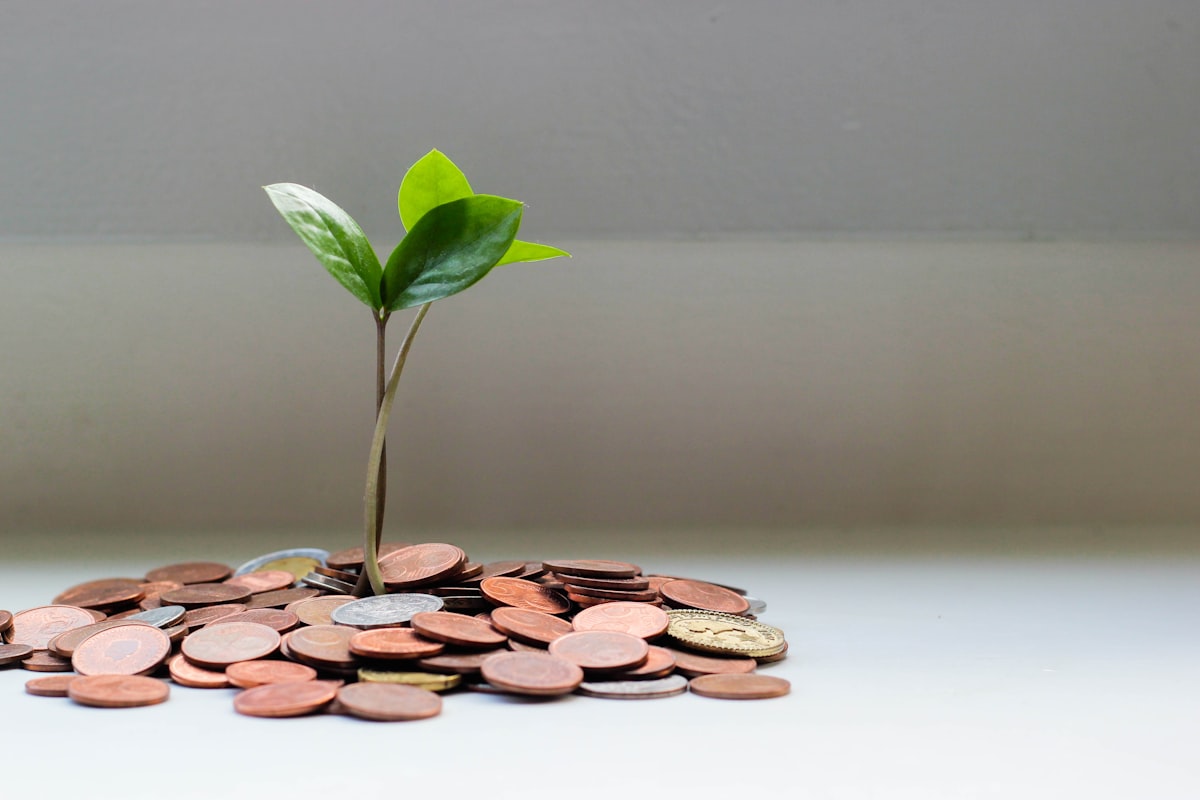 Professional managing personal finances on a laptop